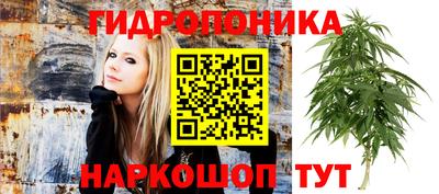 круглые Бердск