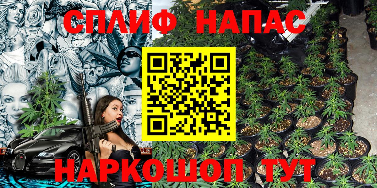 Бошки Шишки THC 21%  Каннабис Amnesia  Шишки марихуана сатива  Богородск  Вход с VPN 